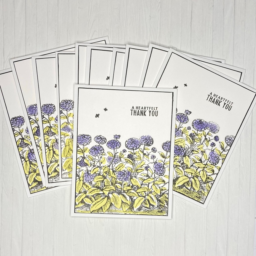 CTMH Sweet As Honey – Cardmaking